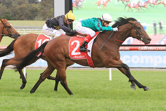 Silent Sedition winning the Le Pine Funerals Summoned Stks