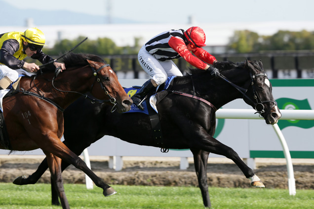 Silhouette Noire winning the Harness Jewels @cambridge-Bm85