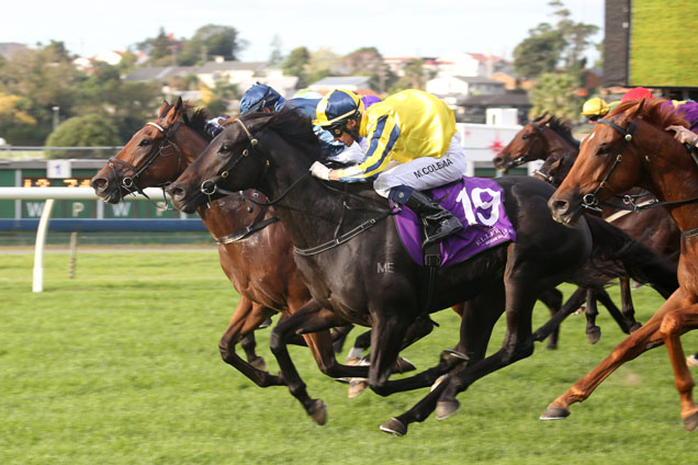 Sound Proposition (no.19) winning the Manco Easter Stakes