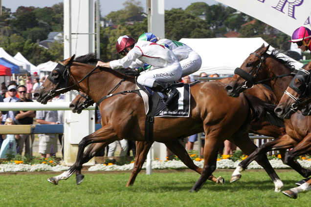 Speech Craft winning the Hallmark Stud Hcp