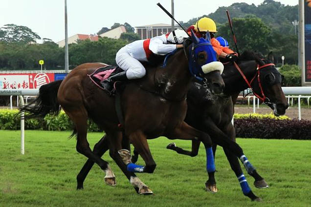 Squire Osbaldeston winning the KRANJI STAKES C