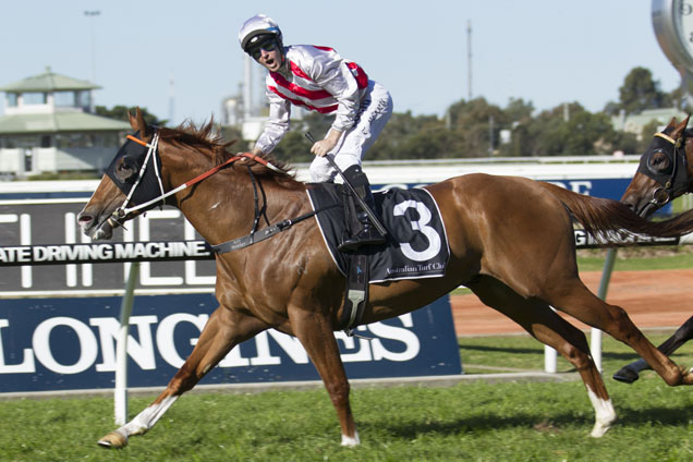 Star Turn winning the 2016 Group 3 San Domenico Stakes at Rosehill