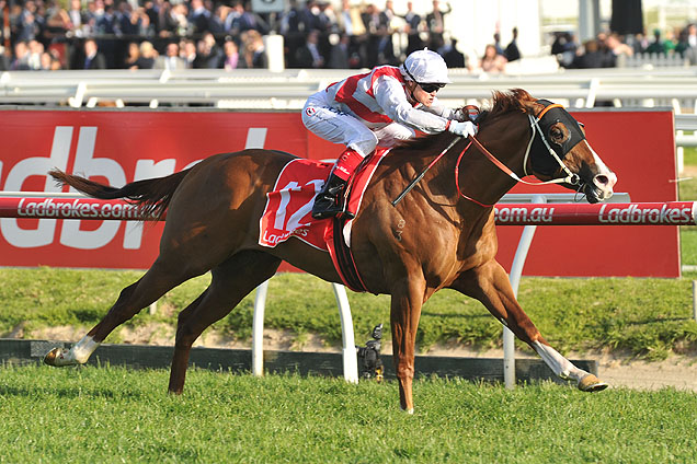 Star Turn runs away with the Schillaci Stakes