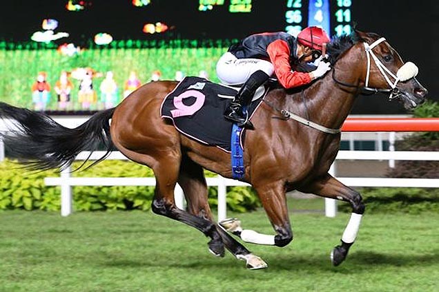 Storm Troops winning the KRANJI STAKES A