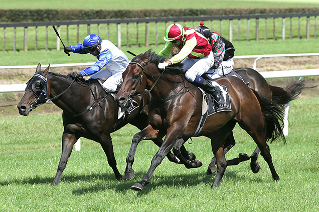 Storming The Tower winning the Drymix Cement B.O.P. Cup