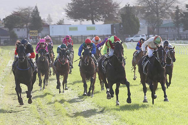 Storming The Tower winning the Rotorua Cup