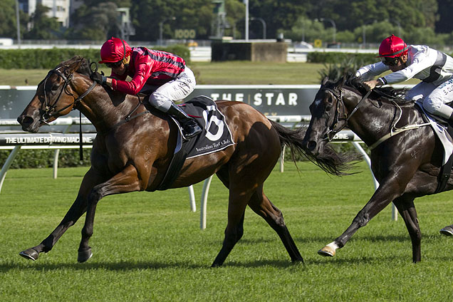 Sultry Feeling could be joined by stablemate Tempt Me Not in the 2016 Robert Sangster Stakes.