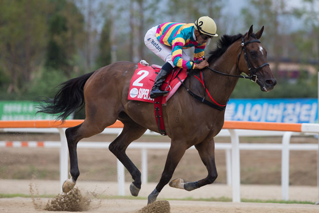 Super Jockey takes the Korea Sprint