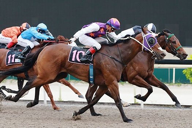 Wong Chin Chuen looks forward to a next win aboard Laser Storm this Sunday as he steers him to a dead-heat with Super Winner on August 28 last year.