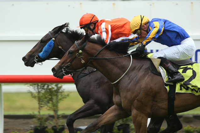 Talaria(orange cap) winning the Murdoch Newell Stakes