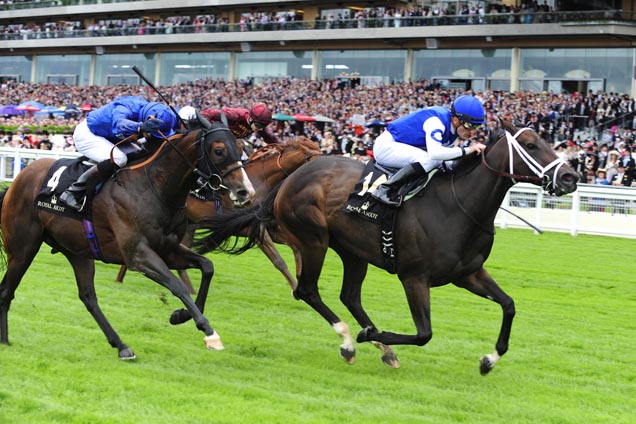 Tepin wins the Queen Anne Stakes Tepin wins the Queen Anne Stakes