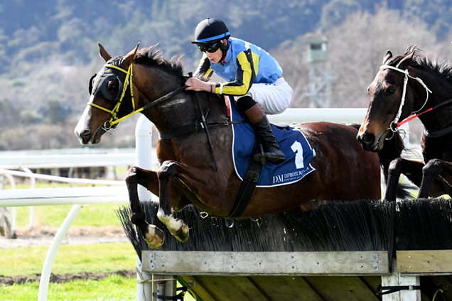 Thenamesbond winning the Crv Ambreed Ltd R-Opn Hrdl