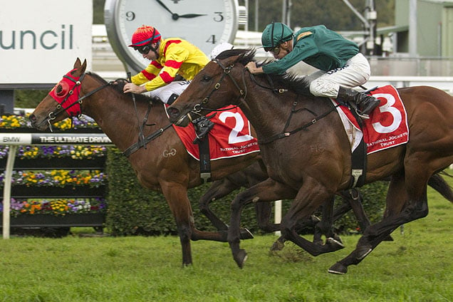 Thronum winning the Randwick City Council Rosebud