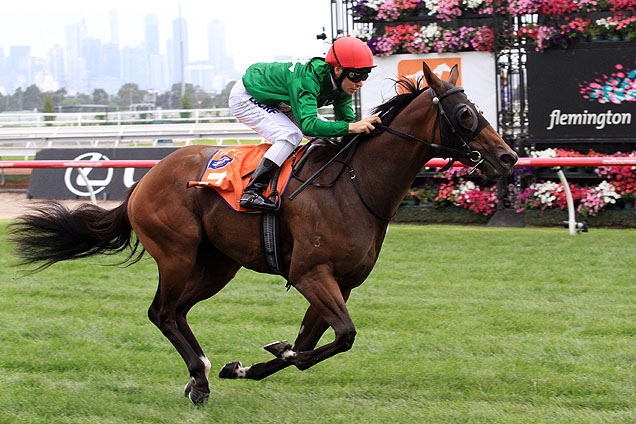 Thyme For Roses winning the Tbv Thoroughbred Breeders Stks