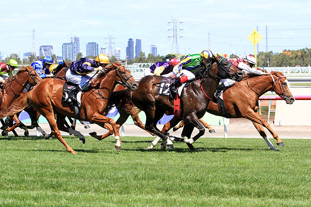 Tivaci winning the C S Hayes Stakes