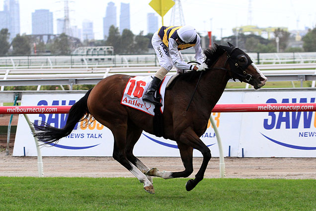 2016 Mornington Cup favourite Tom Melbourne