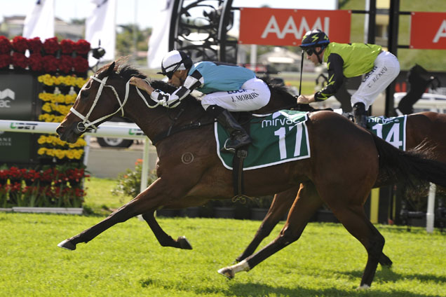 Tsaritsa is value at Scone