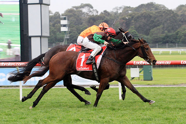 Turnitaround winning the Ladbrokes Bet Better Hcp Turnitaround winning the Ladbrokes Bet Better Hcp