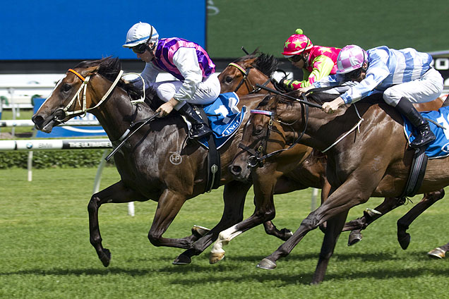 Twist Tops wins at Randwick