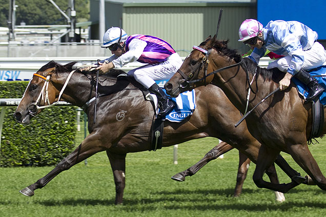 Twist Tops winning the Inglis Classic