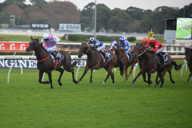 Two Blue winning the Sapphire Stakes