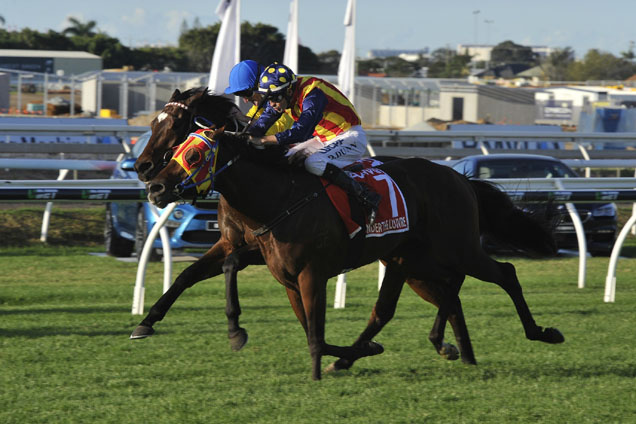 Under The Louvre winning the 2016 Group 1 Stradbroke Handicap