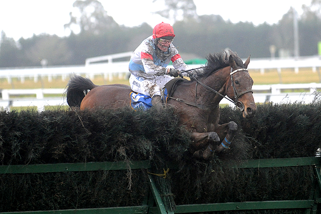 Upper Cut winning the Racecourse Htl Grand Ntnl Stpl