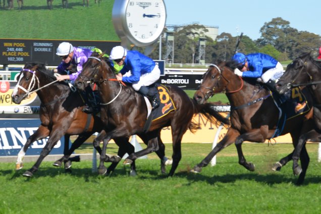 Veladero winning the Gloaming Stakes