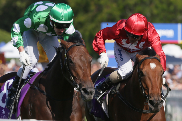 Volkstok'n'barrell (red) winning the Bonecrusher New Zealand Stakes