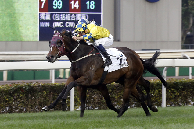 Werther wins the HK Derby