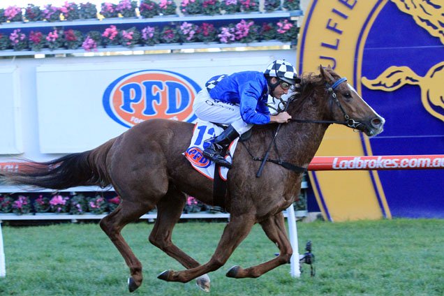 Wild Rain winning the Sir John Monash