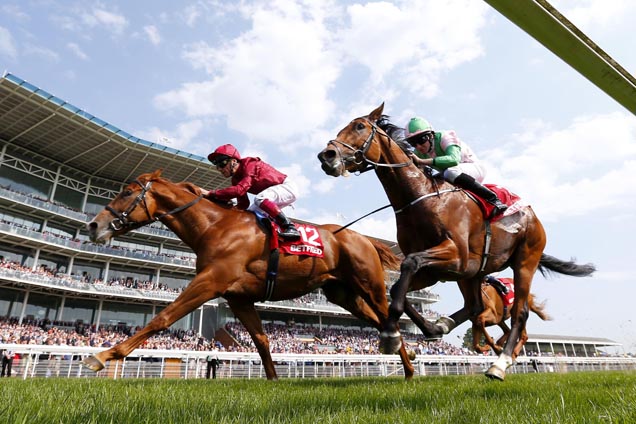 Wings Of Desire winning the Betfred Dante Stakes (Group 2)