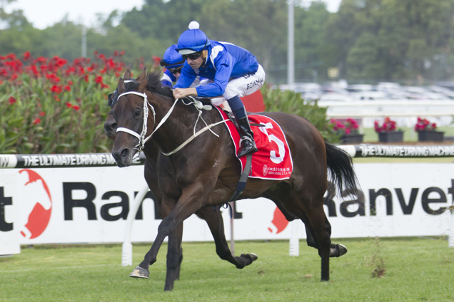 Crack mare Winx measures up to best on Timeform ratings Crack mare Winx measures up to best on Timeform ratings