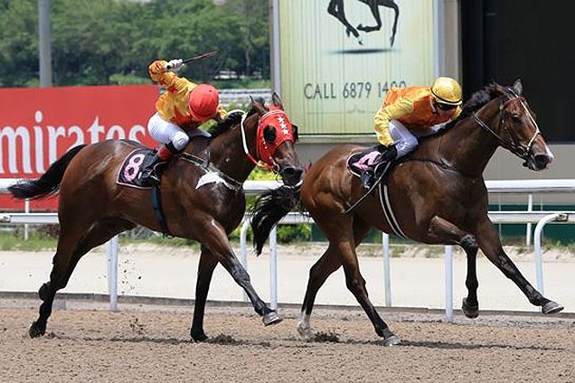 Wonderful winning the SUPER NINETYSEVEN 2013 STAKES OPEN BENCHMARK 83