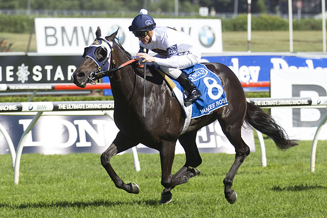 Yankee Rose winning the Inglis Sires'