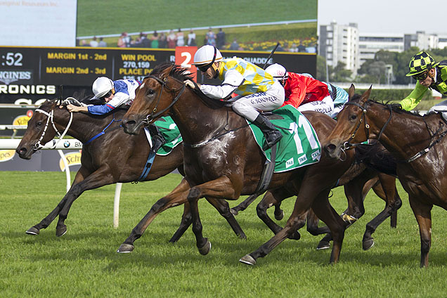 Yattarna winning the J H B Carr Stakes