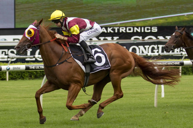 Zin Zan Eddie winning the Carrington Stakes