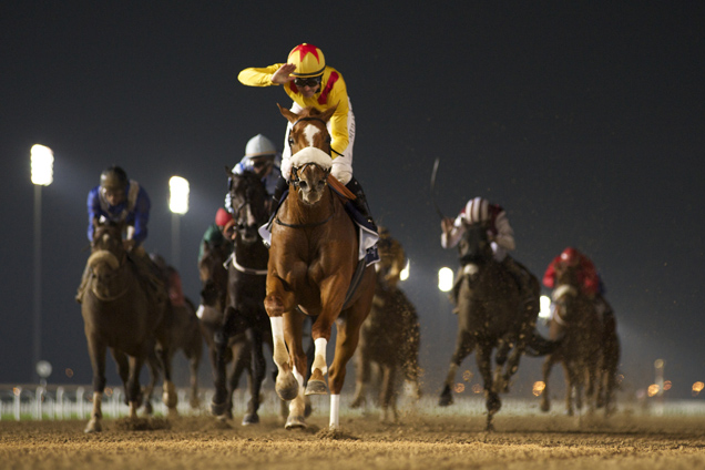 Jockey : Richard Mullen.