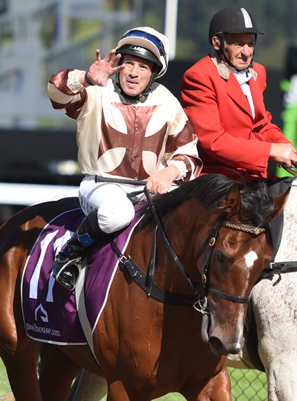 Aide Memoire winning the Rydges Captain Cook Stakes Jockey: ROBERT HANNAM