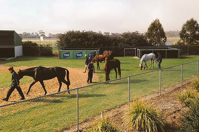 Werribee Racing Club