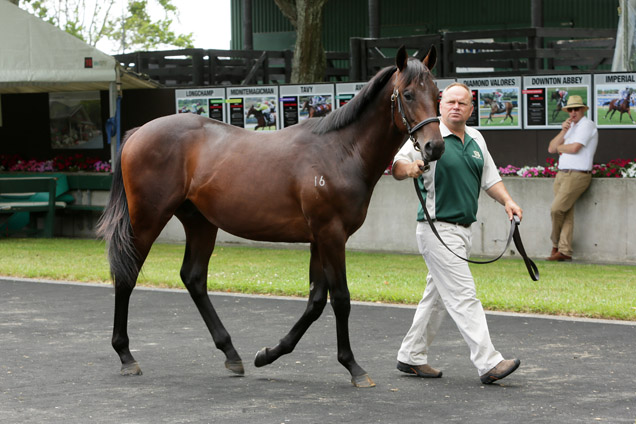 Lot144 Zarzino