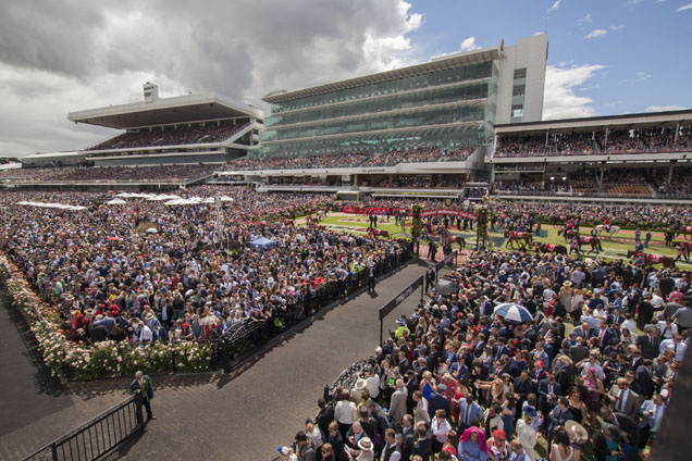 2016 Melbourne Cup Day - Mounting Yard