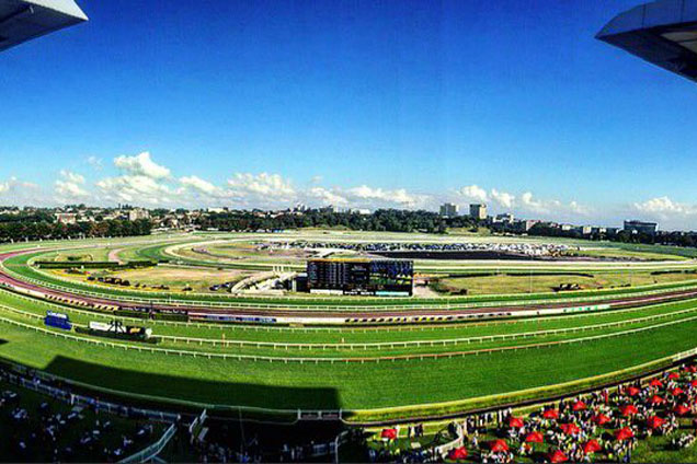 Randwick Randwick