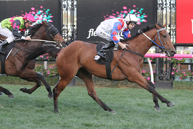 Ability winning the All Victorian Sprint Final