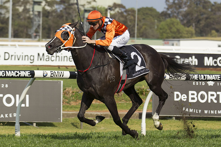 Ace High winning the James Boag's Gloaming Stakes
