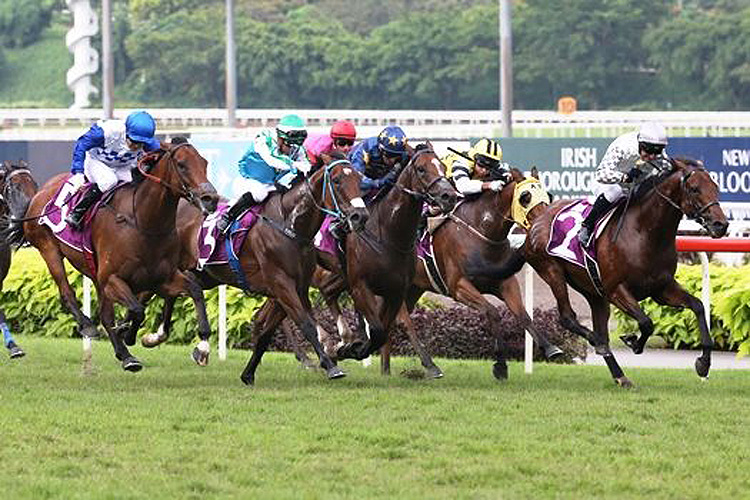 Alibi winning the PATRON'S BOWL Alibi winning the PATRON'S BOWL