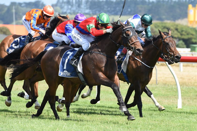 All In Vogue winning the Cambridge T'bred Wanganui Cup.