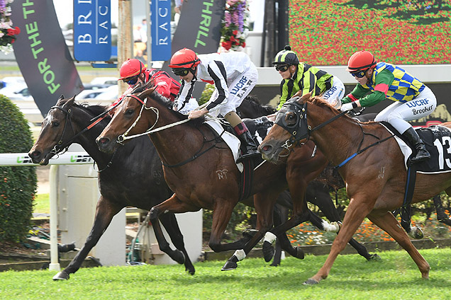 All Over Bosanova winning the Daybreak Lover Plate