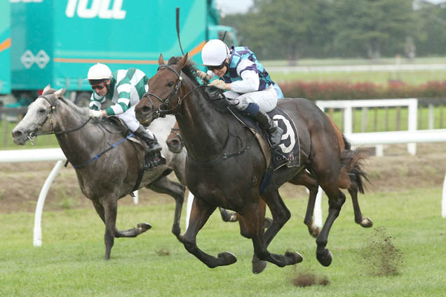 All Roads winning the Japan Nz Intl Trophy