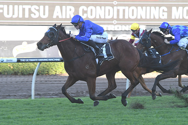 Allergic winning the Fujitsu Air Con. McKell Cup